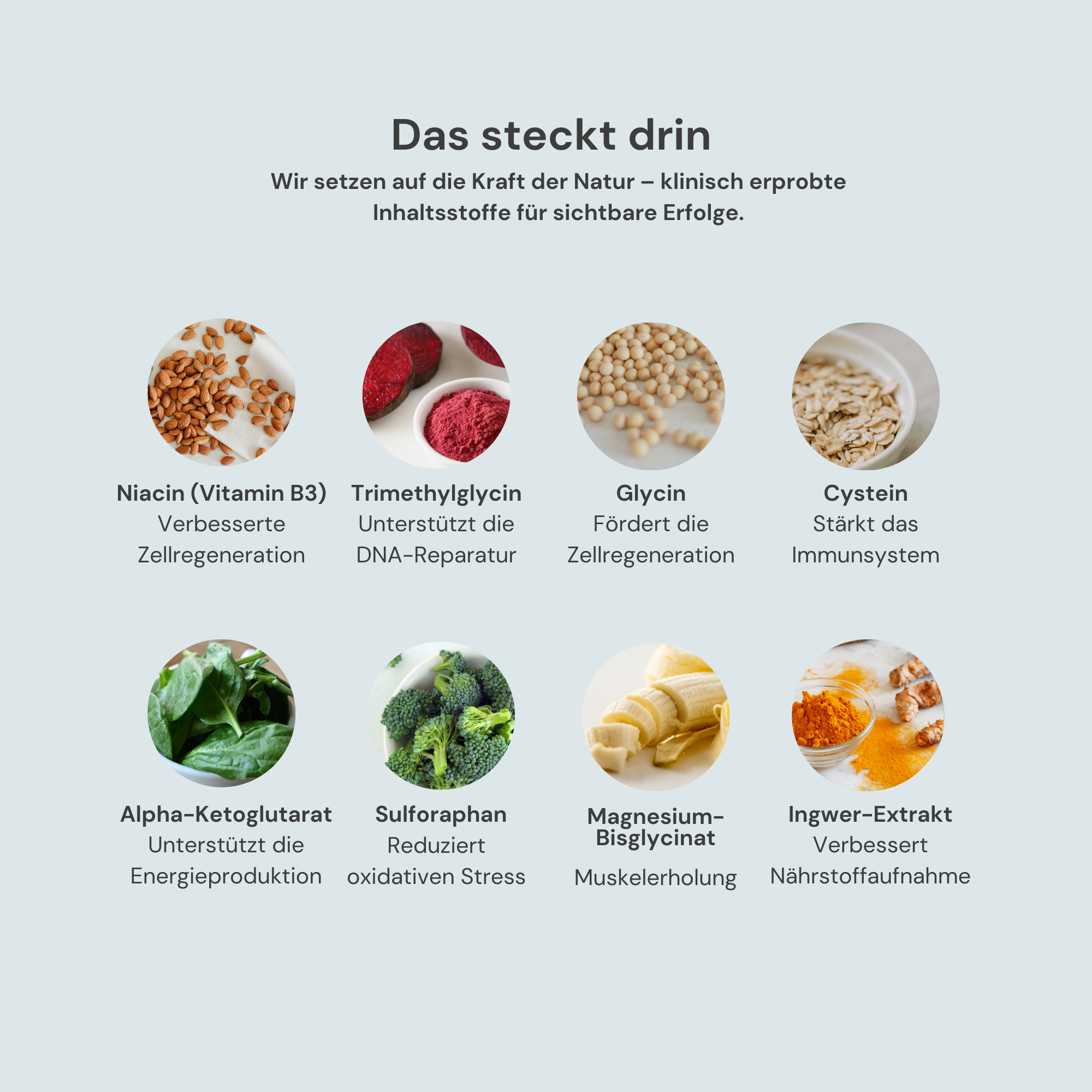 Longevity X Core | Daily Vitality Boost