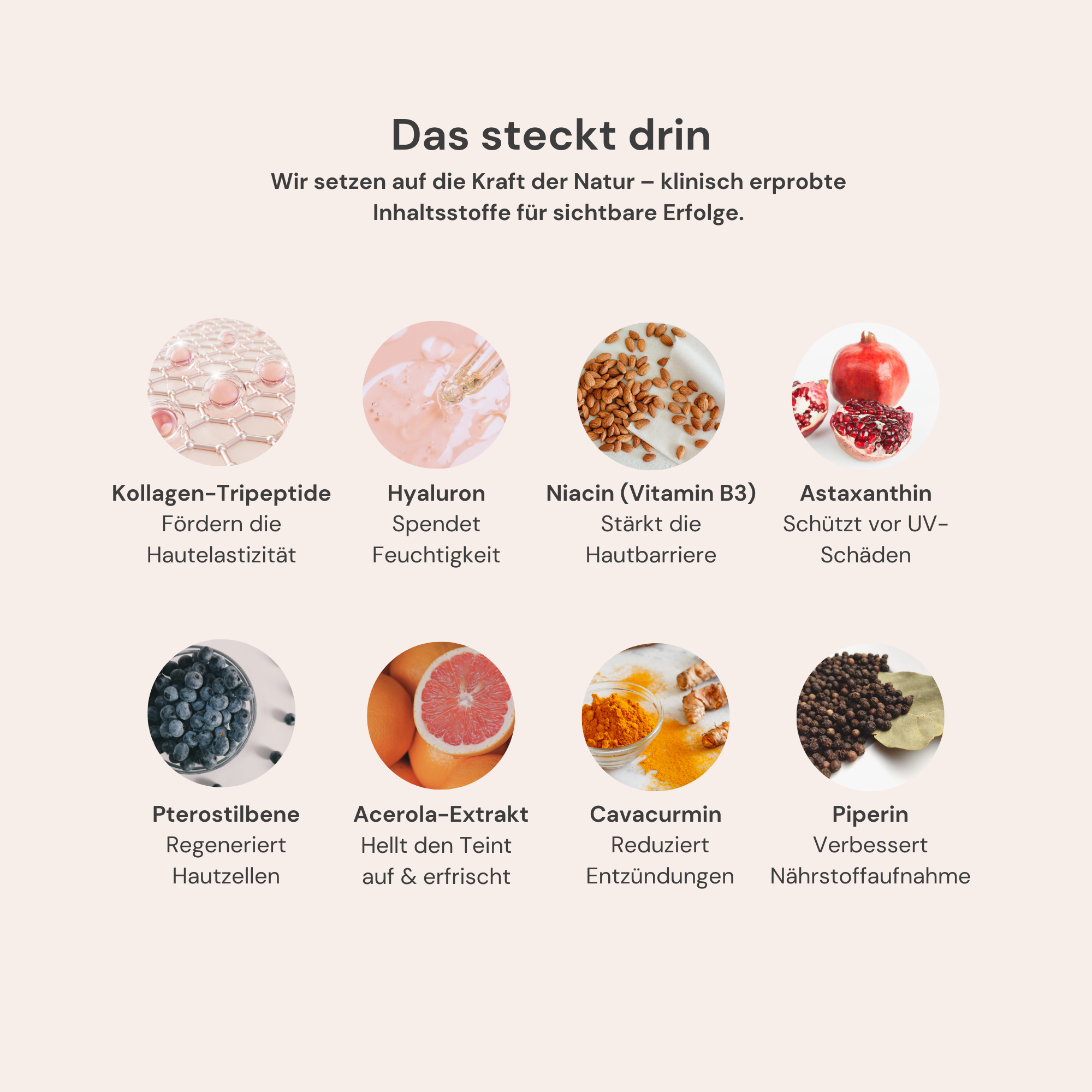 Ultimate Longevity Bundle | All-in-One Supplement