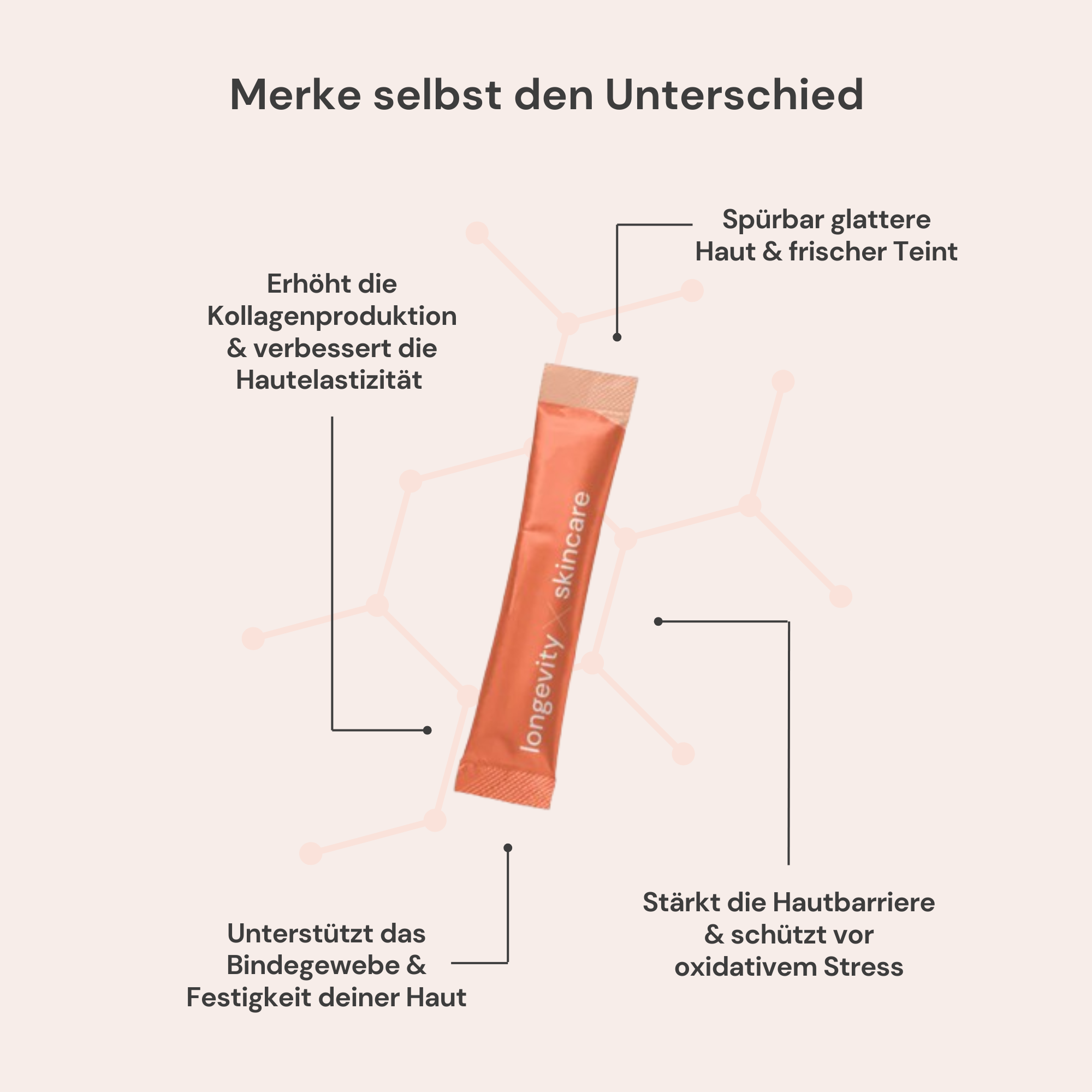 Ultimate Longevity Bundle | All-in-One Supplement